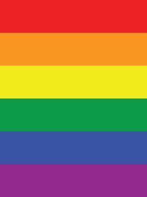 rainbow pride flag